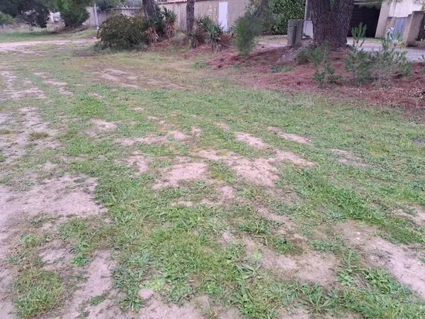 Terrain 300 m²