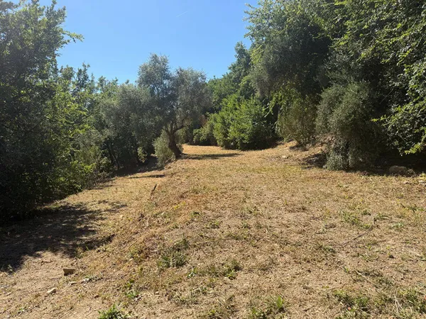 Terrain constructible 4810 m²