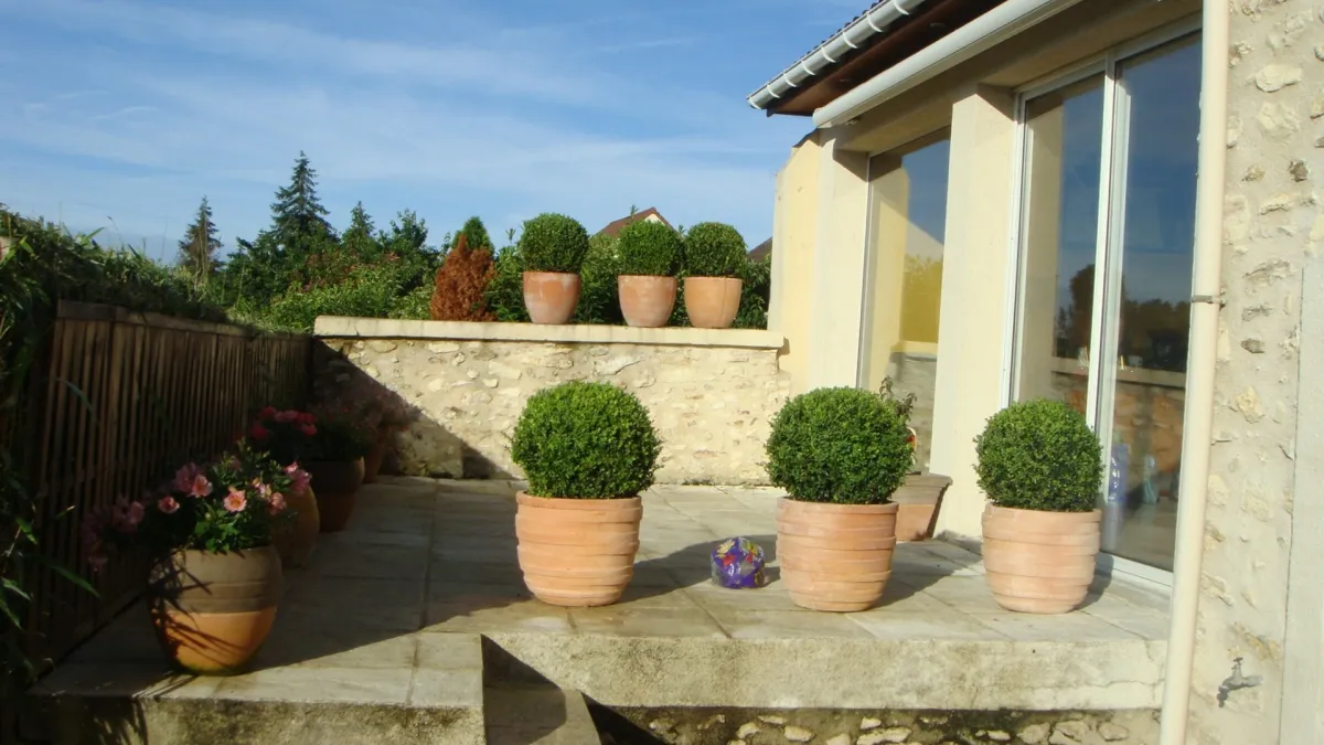 Photo 13