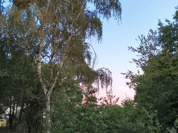 Terrain d'environ 78 ares avec présence d'une maison en très mauvais état