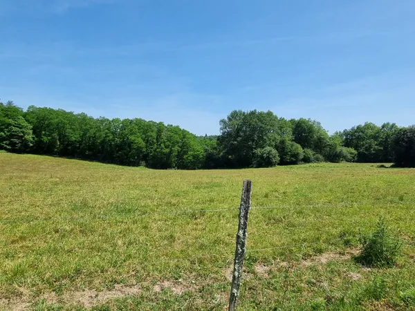 Parcelles de pré et bois avec point d'eau