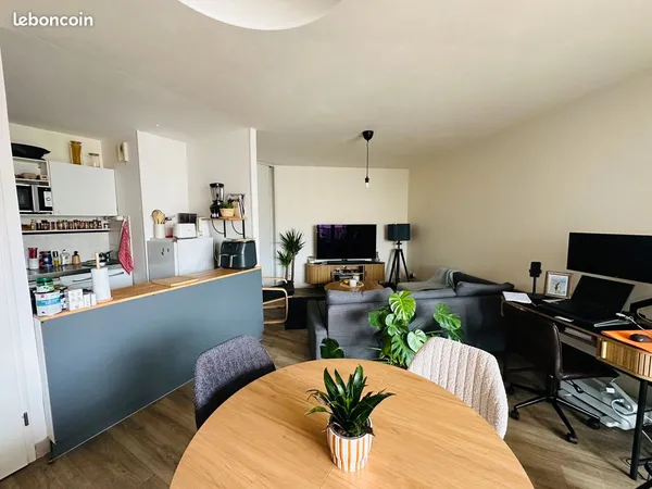 Appartement T2 47m2 (Lyon 3)