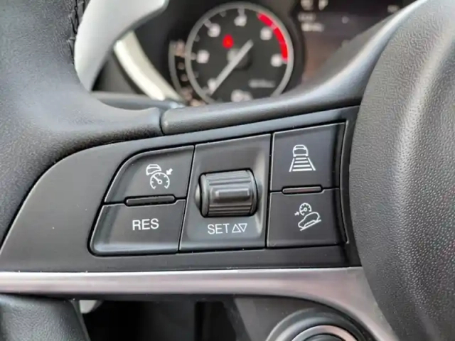 Alfa Romeo Stelvio 2.2 190 ch lusso 2wd bva8 — photo 20