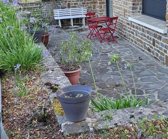 Location appartement meublé
