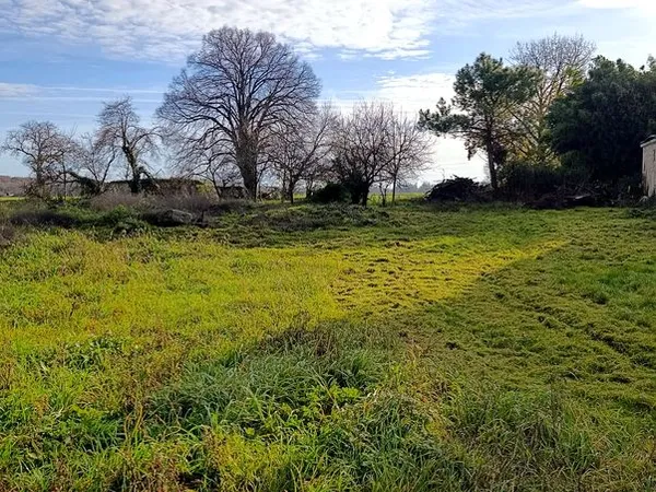 🌿 Terrain constructible 1 792 m² - 36 euros / m² - 10 min de Saumur
