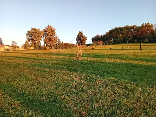 Terrain 1850 m²
