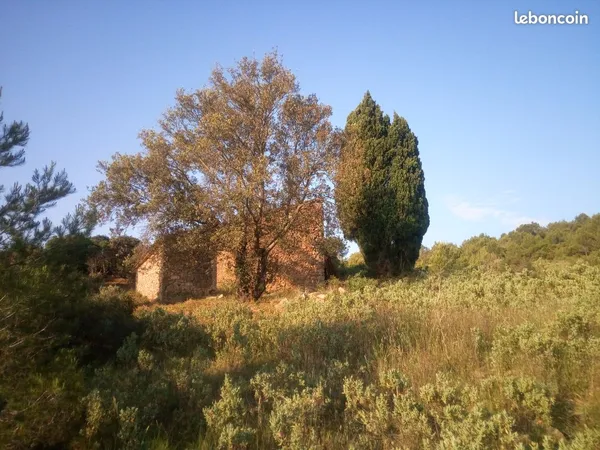 Terrain 21 hectares en autonomie