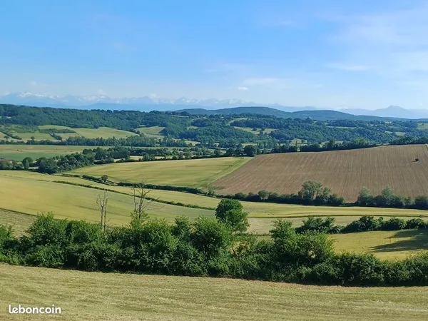 Terrain 3000 m² Francon (31420) 60 000