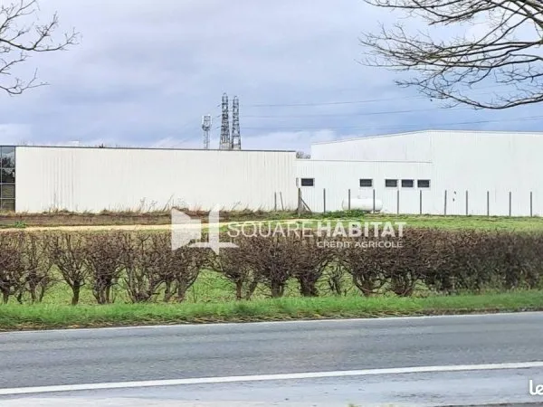 Local d'activité 1 439 m²