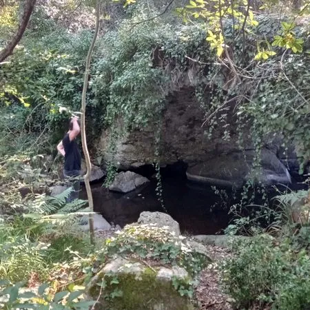 Terrain de loisir forestier 1865m2