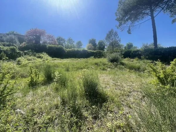 Vente terrain