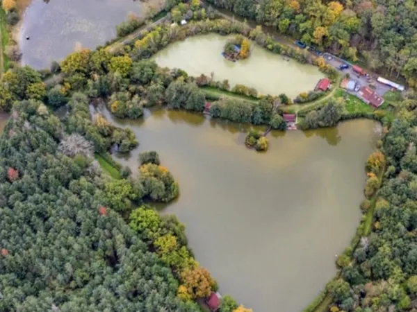 Domaine de pêche à la carpe avec 3 étangs et activité touristique existante sur 5,6 ha