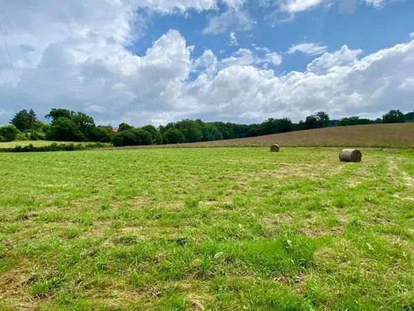 Terrain 1971 m²