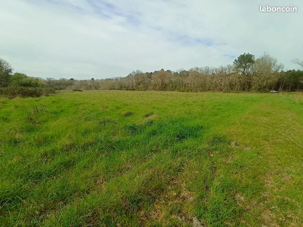 Terrain agricole