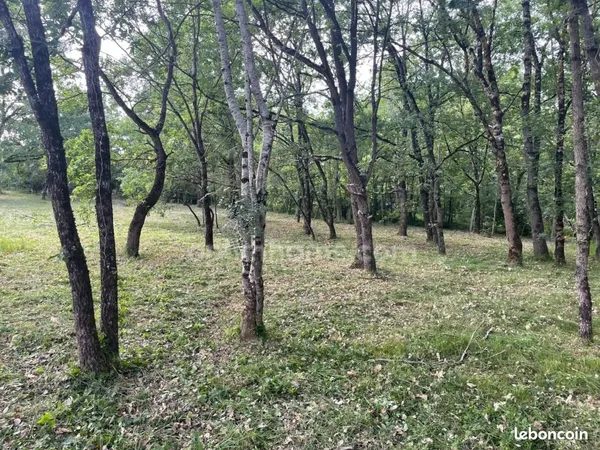 Terrain 1 181 m² Montaigut Sur Save