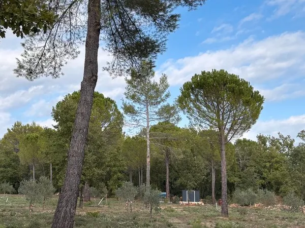 Terrain 1 hectare