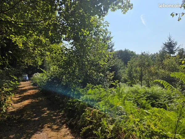 Terrain 16 790 m² Le Tholy