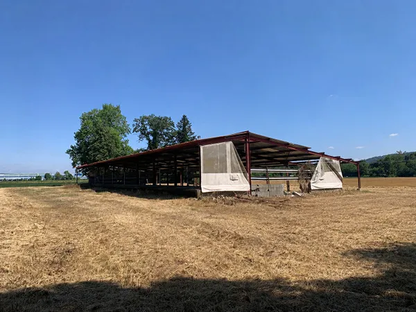 Terrain agricole avec hangar sur le commune de Saint Just(01)