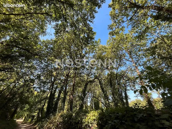 Terrain 4394 m² Vaudelnay