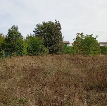 Maison 90 m²