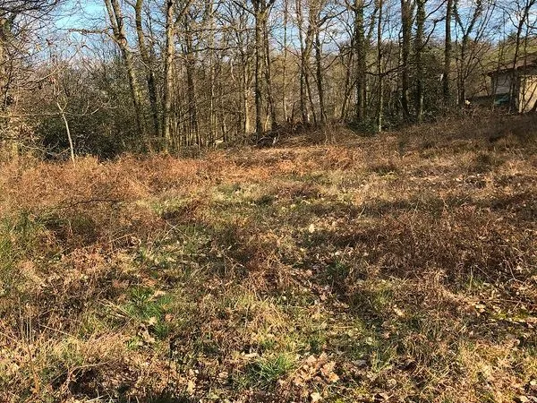 Particulier vend terrain 3 800 m² - Lentilly, 20 km de Bellecour