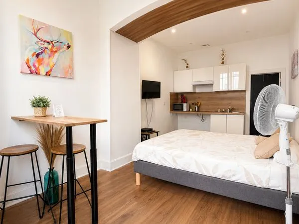 Appartement 1 pièce 19 m²