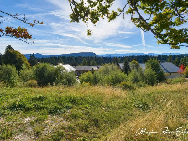 Terrain 985 m²