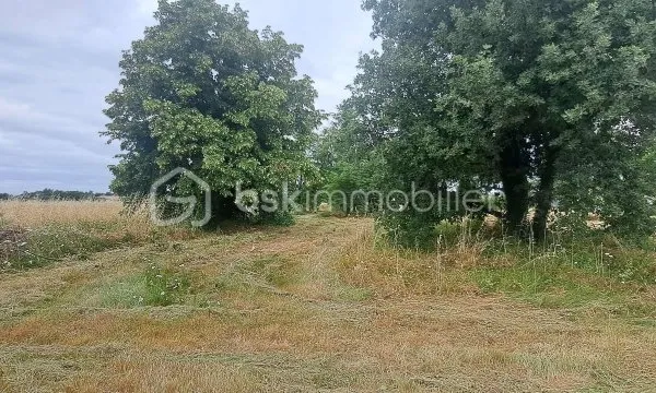 Terrain 1010 m²