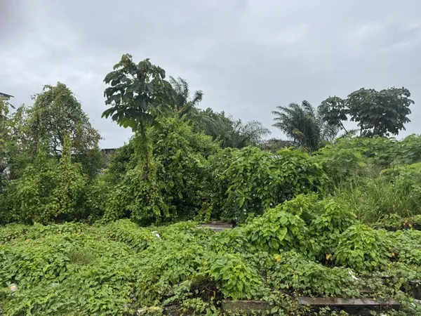 Terrain 270 m²