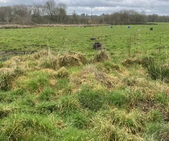 Loue parcelle agricole à Langonnet