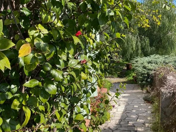 Vends maison 100m²