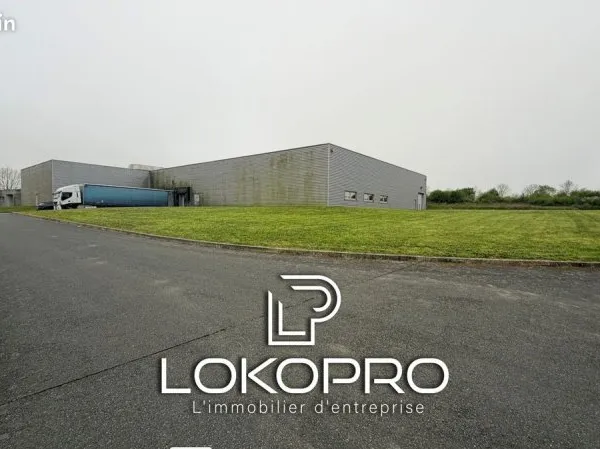 Local 3675 m² Mortagne-sur-Sèvre