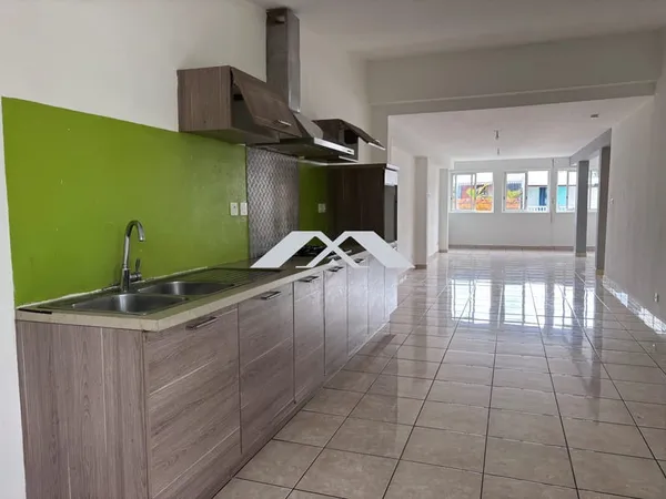 APPARTEMENT T4/5 RIVIERE SAINT LOUIS