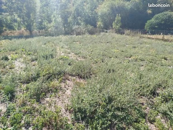 Terrain viabilisé 1000 mètre carré très bel en placement