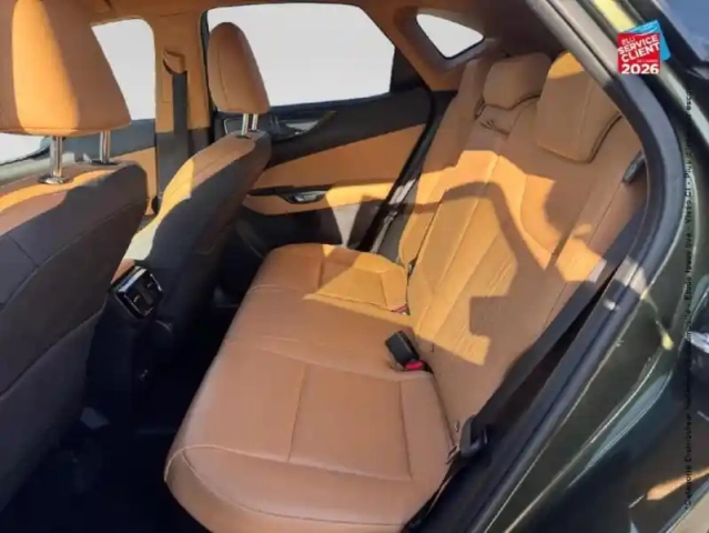 Lexus Nx 450h+ luxe 4wd my25 — photo 11