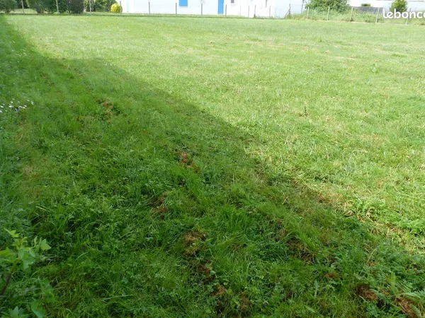 Terrain 986 m²