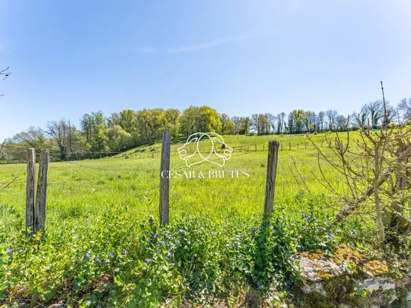 Vends maison en pierres - 214 m² - 7 pièces, 4 chambres - Chozeau 38460