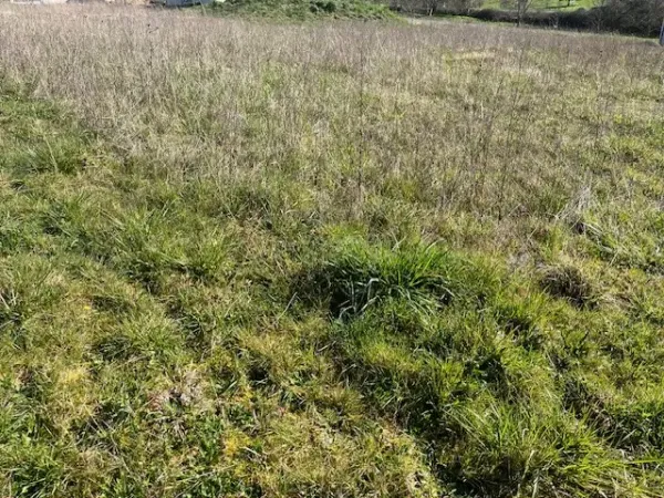 Terrain 608 m²