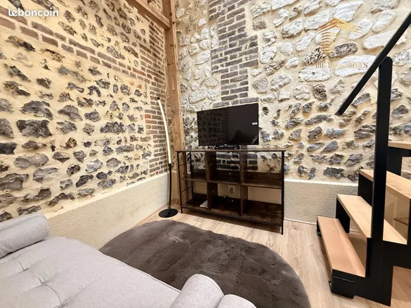 Duplex 2 pièces 20 m²