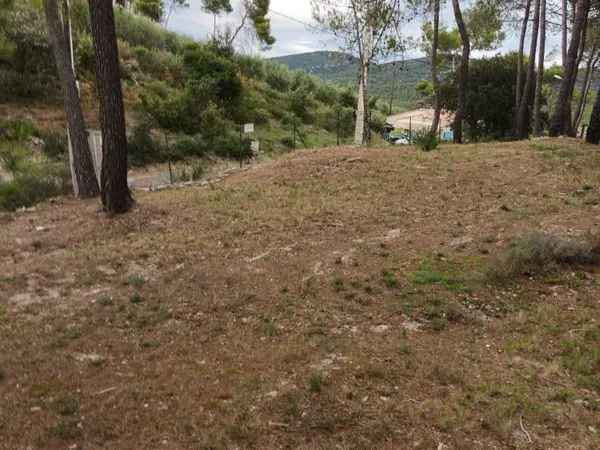 Terrain constructible Saint Bauzille de Montmel