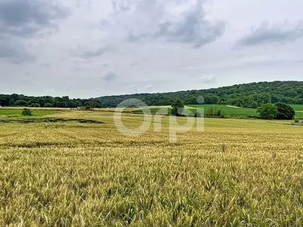 Terrain 1432 m²