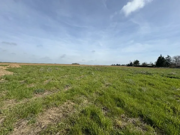 Terrain 649 m²