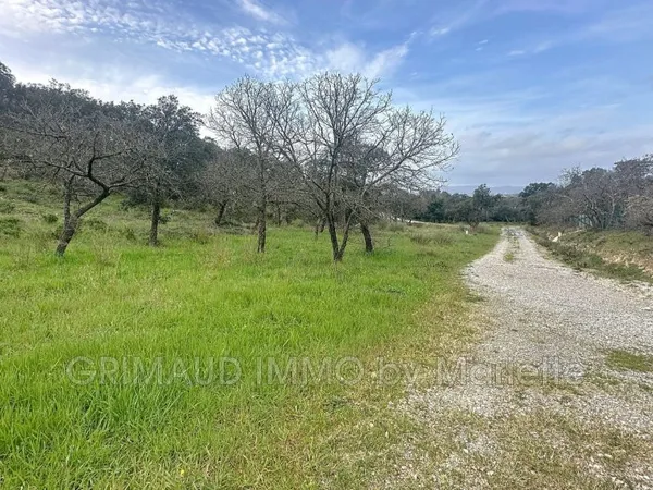 Terrain 6000 m²