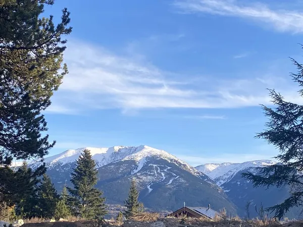 FONT-ROMEU - Vente terrain de 1021 m2 en première ligne pour construction chalet fustes