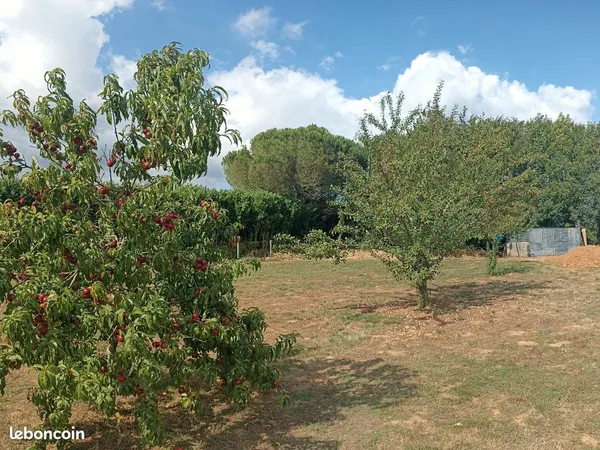 Terrain constructible