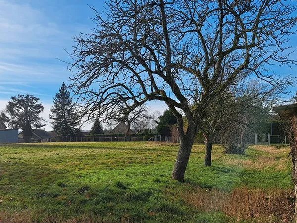 Terrain 14euros/m² SAINT GERMAIN DU BOIS (71330) 2100m² constructibles