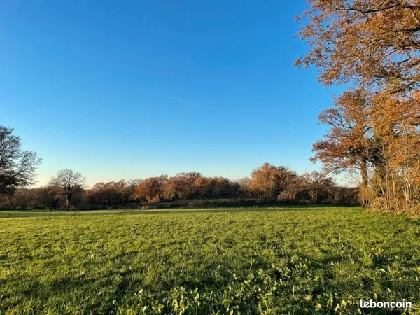 Terrain 1 161 m² Coings