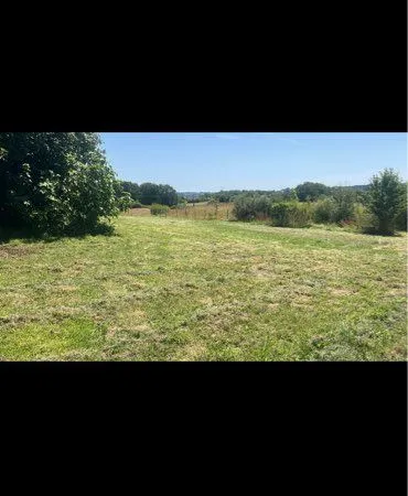 Terrain agricole pature