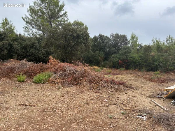 Terrain à