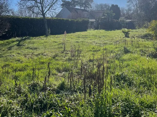 Terrain de 1027m2 Viabilisé